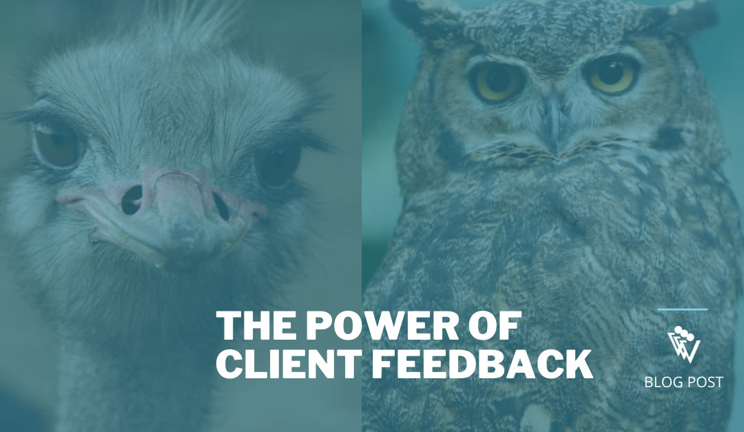 The power of client feedback is in careful observation