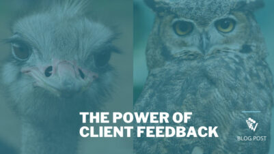 The power of client feedback is in careful observation