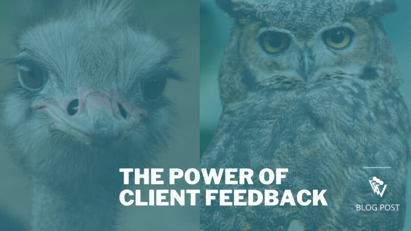The power of client feedback is in careful observation